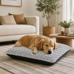 Compact and Comfortable Dog Bed for Joint Support