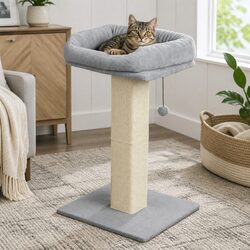 Cat Scratching Post Large Perch Bed Sisal Rope Furniture Protection Play Rest