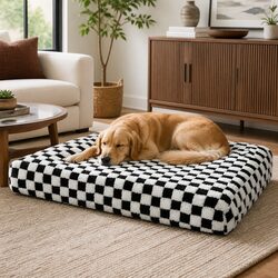 Your Pet Will Love This Orthopedic Dog Bed