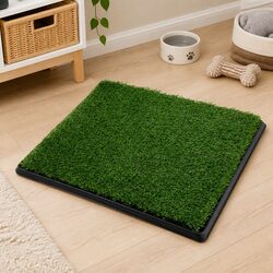 Dog Potty Tray: A Smart Solution for Pet Owners