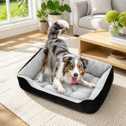 Walled Pet Bed for Dogs and Cats - Cozy and Reliable