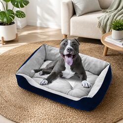 Comfortable Walled Pet Bed Designed for Your Pet