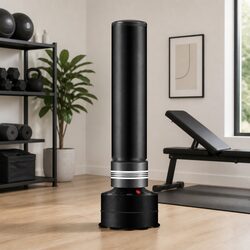Concise Overview of the Free Standing Boxing Bag
