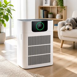 Efficient Pet Air Purifier for Better Air Quality