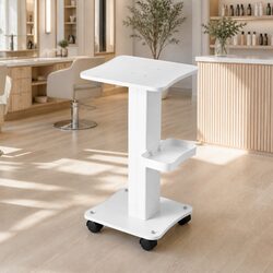 Compact and Durable Rolling Salon Trolley Cart