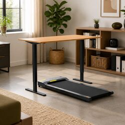 Electric Standing Desk Treadmill Combo 120cm Walking Pad Home Office Workstation
