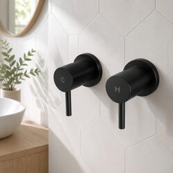 Basin Twin Tap Wall Faucet Shower Bathtub Round Brass Black Matte