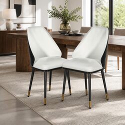 Elegant Dining Chairs Set of 2 with Steel Legs