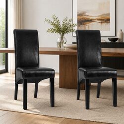 Concise and Modern Set of 2 Dining Chairs in Black