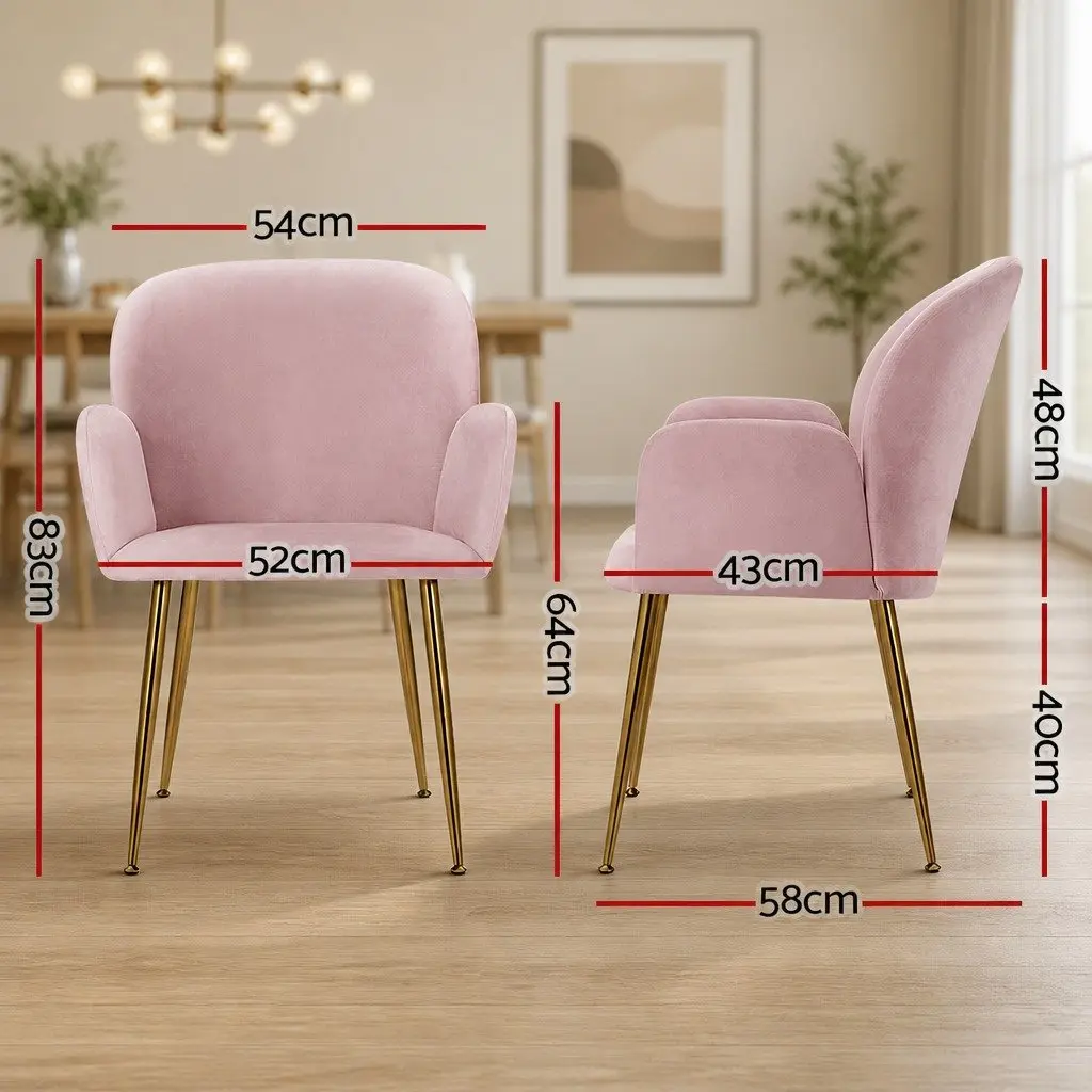 Dining Chairs Pink Velvet Set of 2 Armchair Cushioned Back Support