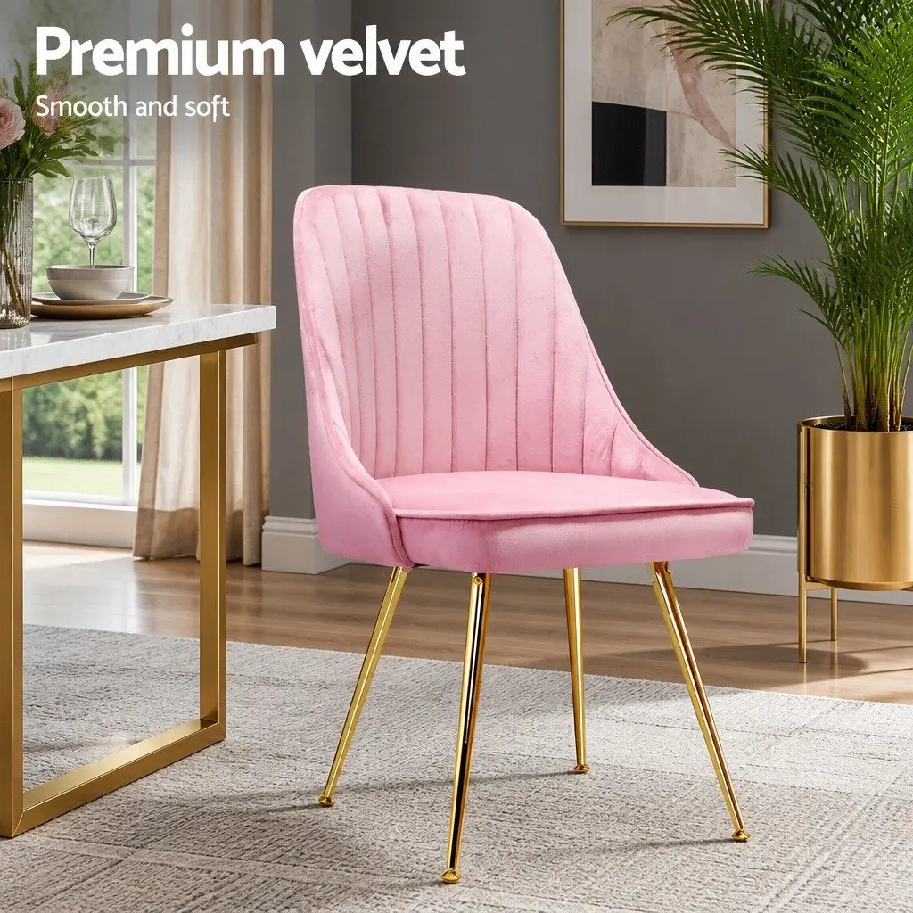 Dining Chairs Pink Velvet Channel Tufted Scallop Shell Back Metal Legs 4 Piece
