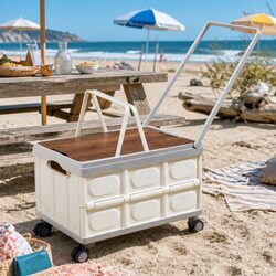 Compact and Reliable 54L Folding Storage Box