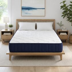 Confidently Choose This Queen Mattress 26cm