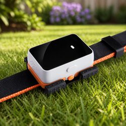 Compact GPS Tracker for Pets: Reliable and Efficient