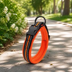 Reflective Orange Dog Collar XS with Safety Features