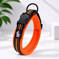 Orange 2XL Dog Collar with Strong Build and Reflective Safety