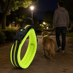Compact and Strong Dog Collar for Active Pets