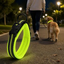 Heavy Duty Reflective Dog Collar with Safety Lock Clip and Stainless Steel O