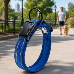 Confidently Designed Reflective Dog Collar for Small Pets