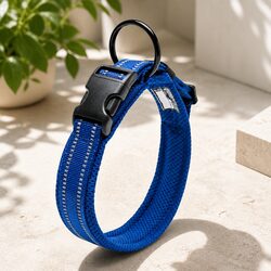 Reflective Dog Collar XL: Quality and Safety Combined