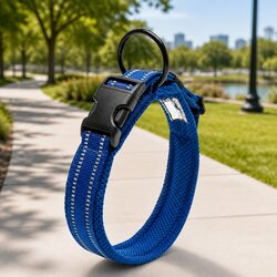 Confident Choice: Heavy Duty Blue Dog Collar with Reflectors