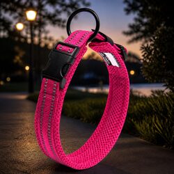 Concise Heavy Duty Reflective Dog Collar