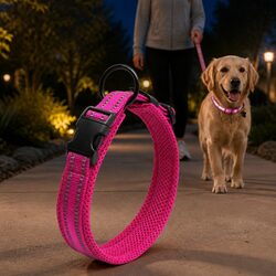 Confidently Choose This Reflective Dog Collar