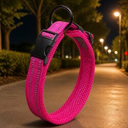 Concise Heavy Duty Reflective Dog Collar with Safety Features