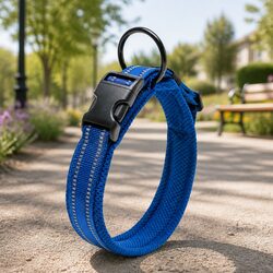 Reflective Dog Collar 2XL: Durable and Safe