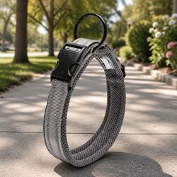 Compact, Strong, and Reflective Dog Collar for Your Pup