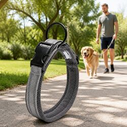 Efficient Heavy Duty Dog Collar with Reflectors XL