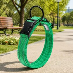 Confidently Walk Your Dog with This Reflective Green Collar