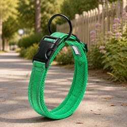Compact 3XL Green Reflective Dog Collar with Safety Features