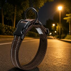 Compact XS Reflective Dog Collar for Safety and Style