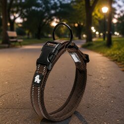 Reflective Dog Collar - Durable and Reliable