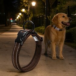 Heavy Duty Reflective Dog Collar with Safety Lock Clip Buckle and Stainless