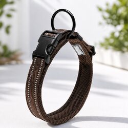 Concise Heavy Duty Reflective Dog Collar
