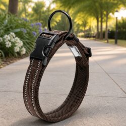 Heavy Duty Reflective Dog Collar with Safety Lock Clip Buckle Stainless Steel
