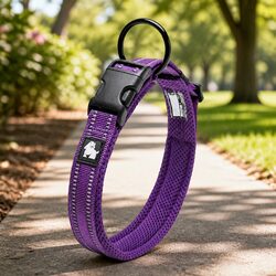 Heavy Duty Dog Collar with Lock Clip and Reflective Elements