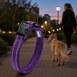 XS Purple Dog Collar: Durable and Safe for Your Pet