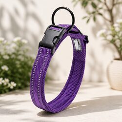 Confidently Choose This XL Purple Dog Collar
