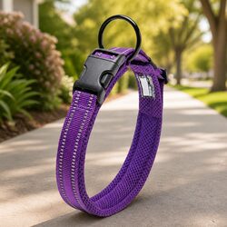 Compact and Effective Purple Reflective Dog Collar 3XL