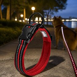 Reliable Reflective Dog Collar Built for Safety and Durability