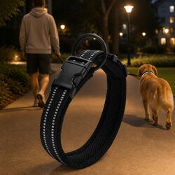 XS Black Dog Collar: Heavy Duty and Reflective