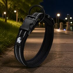 Reflective Dog Collar with Strong Build and Safety Features