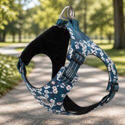 Compact Floral Dog Harness - Comfortable and Safe