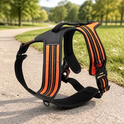 Concise No Pull Dog Harness for Medium Large Dogs