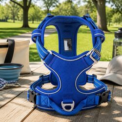 XL No Pull Dog Harness: Durable and Functional