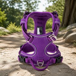 Compact and Effective XL No Pull Dog Harness in Purple