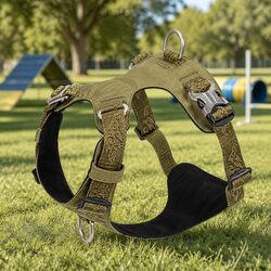 Lightweight Dog Harness for Training - Compact and Reliable